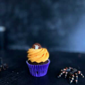 Orange Chocolate Halloween Cupcake